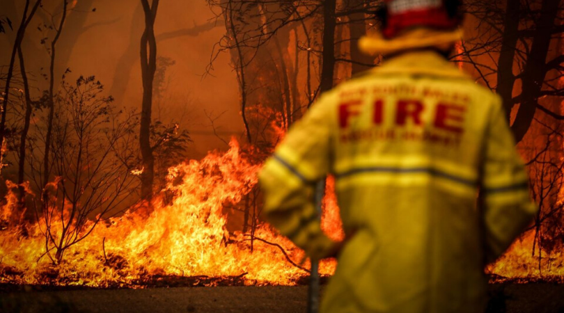 Bushfire Tax Assistance